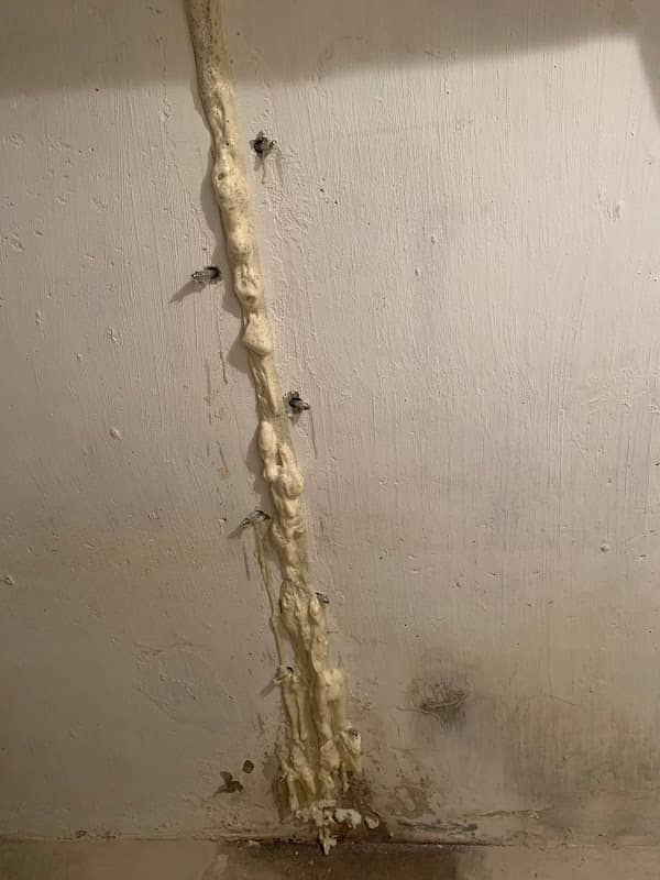 Dryshield Basement Waterproofing photo 2